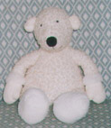 Paddy the Polar Bear